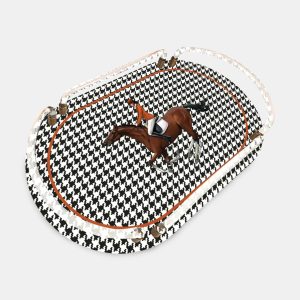 Equestrian Oval Akrilik Tepsi - Model: Turuncu Ceket